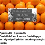 arance_rosarno_ari arance_rosarno_ari