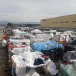 ROSARNO